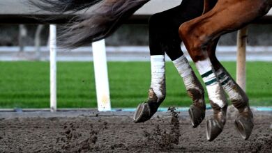 优质服务,遍布全国